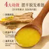 Auténtico Shampoo Nanjing Tongrentang Hoja de Platycladus Jengibre Cabello Grueso Planta Handa Anticaída del Cabello Antirotura Fortalecedor Relleno del Cabello