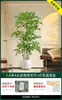 Planta Verde Artificial Nantianzhu, de Gama Alta y Lujo, de Pie, Grande para Interiores y Exteriores, Bonsái de Alta Calidad, Árbol Falso para la Sala de Estar