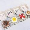 Caja Desechable Biodegradable para Hamburguesa Lonchera 6 pulgadas Ecológica Grado Alimenticio Caja para Pastel para Fiesta