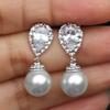 Pendientes de perlas de imitación de otoño e invierno de Cao Shi Xiaohong, recomendados por celebridades de Internet, con temperamento, compactos y de moda para damas.
