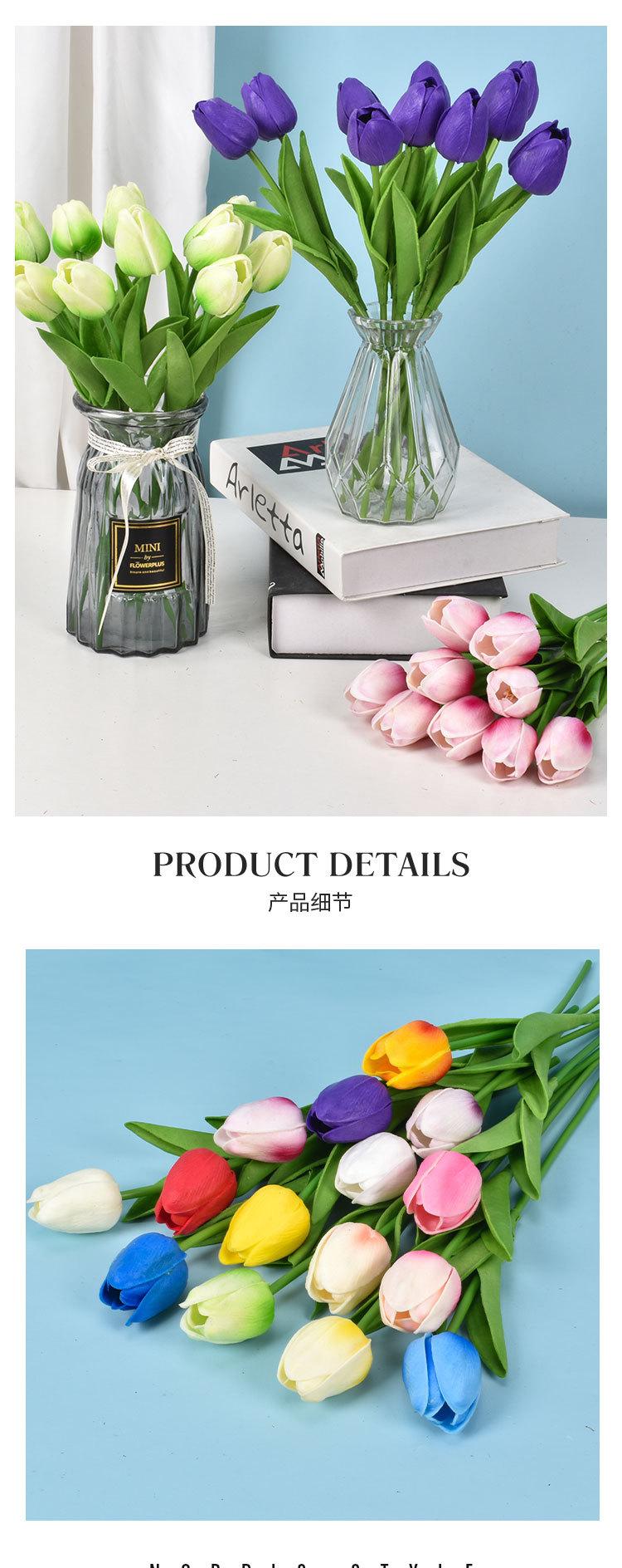 芮贝-郁金香_08.jpg