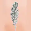 Pluma Plateada Flores Secas Flores Prensadas Flores Prensadas Decoración Facial Flores Hojas Reales Espécimenes de Plantas Hojas Reales Flores Reales Materiales para Manualidades