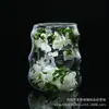 Taza de Flores Secas con Forma de Nube Venta al por Mayor Transfronteriza, Taza de Beber Creativa en Espiral de Alta Estética, Taza de Doble Pared de Vidrio de Borosilicato con Flores Reales