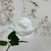 Simulação Uma Mão Usando Flor Falsa de Rosa Flor Artificial Flor de Casamento Flor Artificial Flor Falsa Decoração de Casamento Flor de Seda