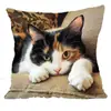 Fundas de Almohada de la Popular Serie de Animales Lindos de Amazon para Decoración de Sofá del Hogar, Fundas de Cojín Cortas de Felpa