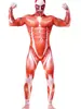 2025 Nuevo Producto Transfronterizo Halloween Ataque a los Titanes Body Impresión Digital 3D Adulto Cos Disfraz de una Pieza