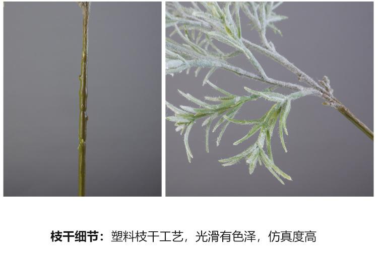 植绒_08.jpg