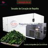 Secador de coração de vegetal verde secador de energia do ar secador de desidratação de núcleo de vegetal verde ar quente vegetal vegetal equipamento de secagem seca