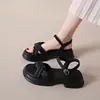 Sandalias para Mujer Verano 2026 Nuevo Estilo Plataforma Suela Gruesa Casual Deportivas Romanas de Playa con Diseño de una Correa para Combinar con Faldas