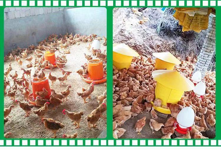 微信图片_20231224095453