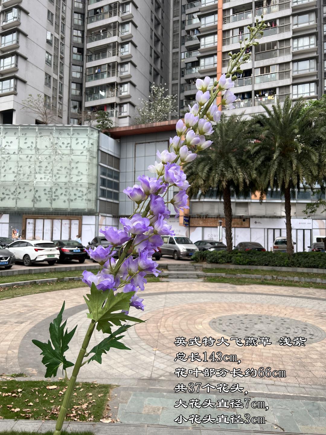 微信图片_20240330162503