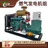 Grupo Generador de Gas Yuchai de 50/100/150 Kilovatios para Granjas de Cría, Equipo de Generación de Energía con Gas Natural y Biogás con Inyección Electrónica de Combustible