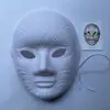 Maquillaje facial con hendidura doce zodiaco máscara blanca pintada a mano al por mayor con cuerda e imagen a color