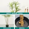 Planta Artificial Monstera Estilo Nórdico en Maceta Decoración Artística para Exteriores Planta Verde de Pie Simple Árbol Falso Venta al por Mayor