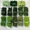 Musgo de Reno Preservado Flor Seca DIY Paisajismo Micro Paisaje, Botella Ecológica, Planta en Maceta de Vidrio, Cubierta de Suelo para Bonsái
