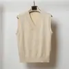 Otoño e invierno nuevo chaleco de punto con cuello en V chaleco para mujer top negro suéter sin mangas para mujer prenda exterior suéter fino