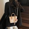 Bolsa Balde de Design de Nicho 2025 Primavera Nova Bolsa de Ombro Simples Portátil Moda Casual para Trabalho Bolsa Transversal
