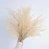 Flores de Caña Altas Artificiales, Flores Secas, Hierba Dorada Artificial Estilo Wabi-Sabi, Decoración de Piso, Arreglo para Escena de Boda, Flores Artificiales al por Mayor