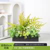 Vaso de Flores de Planta Verde Simulada Combinação de Divisória de Paisagismo Caixa de Flores Planta Falsa Janela Interna Decorações de Paisagismo de Chão