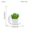 Oferta Especial do Fabricante: Plantas Suculentas Artificiais em Vasos de Cerâmica para Mesas de Escritório Internas, Pequenas Plantas Verdes em Vasos, Flores Artificiais, Plantas Suculentas em Vasos