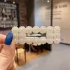 Pasador de Pelo Coreano Estilo Francés con Perlas para Mujer, Pinza Lateral Sencilla y Sofisticada de Pico de Pato, Elegante Accesorio para el Cabello