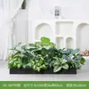 [Série Hc-An7] Caixa de Flores de Planta Verde Simulada Decoração de Sala de Estar Interna Janela de Chão a Teto Paisagismo Fotografia de Casamento Estrada