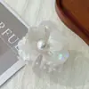 Novo Clip de Flor de Ácido Acético Fresco Clip de Pérola para Rabo de Cavalo Clip para Meio do Cabelo Clip para Parte de Trás da Cabeça Feminina Acessório de Cabeça