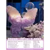 Decoración de Escena de Cumpleaños para Ceremonia de Adulto de 18 Años Chica Red Social Tema Mariposa Súper Tablero KT Fondo con Sentido Avanzado