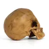 Academia de Arte Libro de Texto 1:1 Calavera Humana de Resina Calavera Amarilla Calavera Regalo de Halloween