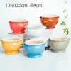 Maceta de Flor de Planta Suculenta de 6 Colores Destaca Cerámica Esmaltada Pastoral Simple Patrón Redondo Esmaltado Clásico Bonsái