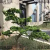 Galhos Artificiais de Pinheiro, Agulhas de Pinheiro, Cipreste Falso, Belos Galhos de Pinheiro, Folhas de Pinheiro, Pinheiro Negro, Galhos de Tuia, Planta de Boas-Vindas