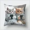 Fronha de Animal Fofo Nova Transfronteiriça para Brincar com Celular Decoração Festa Gato Fronha de Almofada de Sofá para Sala de Estar Venda por Atacado