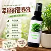 Fertilizante especial para el árbol de la felicidad, adecuado para plantas de interior en maceta, fertilizante de nutrientes de liberación lenta para fortalecer las hojas y promover el crecimiento, mejora el amarillamiento y la caída de hojas, para uso en interiores