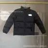 Comércio exterior transfronteiriço, modelo 1996 da North Face, jaqueta de plumas unissex para homens, mulheres e crianças, casual e fashion de inverno, peça externa versátil com gola alta