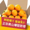Naranjas de Jiangxi y Ganxi del Sur, Naranjas Navel 5 kg Fruta fresca de temporada, caja completa, auténticas, aptas para jugo, naranjas para gelatina, dulce de azúcar de roca