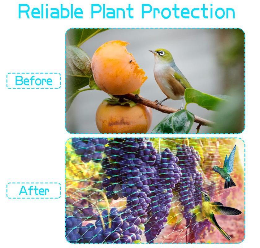 QQ图片20231204185351