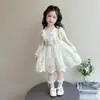 Vestido de Primavera y Otoño para Niñas 2026 Nuevo Estilo Falda de Encaje para Niña Falda de Malla Princesa para Niños Falda de Otoño para Bebé