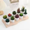 Venta al por mayor de plantas suculentas artificiales, lote mixto de plantas suculentas en maceta diamante, ventas directas de fábrica, decoraciones de plantas verdes para oficina