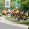 Pájaro de simulación, espuma de alambre, artesanía de pájaro, pájaro de simulación, floricultura de jardín, paquete de pájaro de plumas de colores, decoración DIY