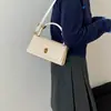 Otoño temprano 2026 nueva tendencia de moda elegante versátil de alta calidad con patrón tejido bolso de hombro cruzado