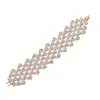Pulsera de Cadena de Garra con Pedrería Europea y Americana, Joyería de Moda con Accesorios de Pulsera Incrustados de Diamantes, Joyería de Pulsera de Lujo.B148