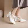 2026 Primavera Salto Grosso Salto Alto Tira em T Sapatos Baixos Sapatos Femininos Tamanho Grande 40-48 Transfronteiriço Floral Brogue