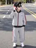 Traje Deportivo de Primavera y Otoño para Niños, Camisa con Cremallera Estilo Coreano para Niños, Conjunto de Dos Piezas de Moda, Ropa Elegante para Niños Pequeños, Comercio Exterior