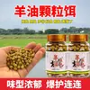 Cebo Granulado de Aceite de Oveja para Pesca Deportiva en Pozos Negros, Adecuado para Carpa Crucian, Carpa Herbívora, Carpa Negra y Pez Picante Amarillo, Gránulos Listos para Usar para Pescadores Perezosos