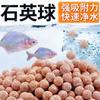 Bola Hueca de Cuarzo Nano Bola de Cultivo Material Filtrante para Acuario Casa de Bacterias Nitrificantes Anillo Cerámico Bola de Infrarrojo Lejano