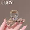 2025 Nuevo Lujo Accesible Moda Cristal Pinza Pequeña para Agarrar Pinza para Cabello Medio Atado Clip Lateral para Cabello Flequillo Pinzas Accesorios para el Cabello