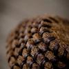 Posavasos de Coco Natural Marrón Coco Tapete Especial para Té Tapete Mane Aislamiento Térmico para Tetera Accesorios para Juego de Té Portavasos Redondo para Taza de Té