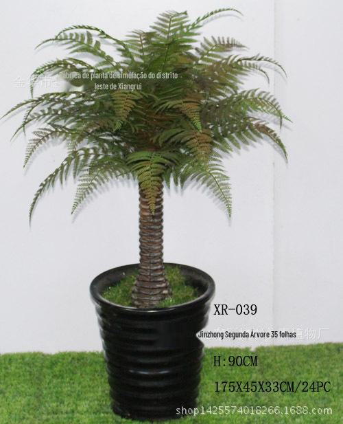 XR039