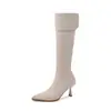 Botas Skinny de Terciopelo para Mujer Botas Altas Largas Otoño Invierno Nueva Llegada Punta Fina Cremallera Lateral Tacón de Aguja Botas Largas Hasta la Rodilla Botas Altas para Mujer