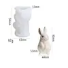 Coelho de Desenho Animado de Páscoa Casa de Casca de Ovo Molde Coelho em Pé Vela Perfumada Gesso DIY Molde Artesanal